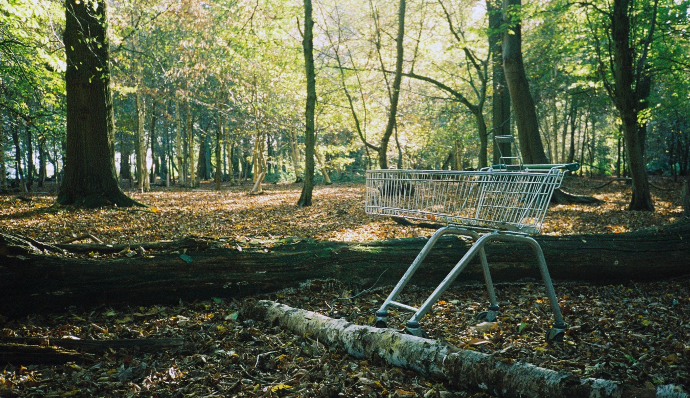 Empty shopping cart in forest